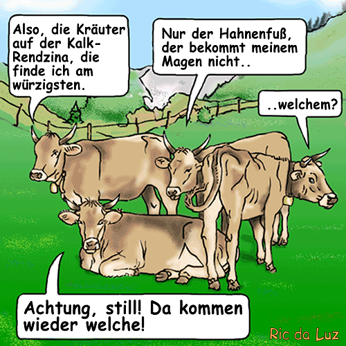 Konversation 1