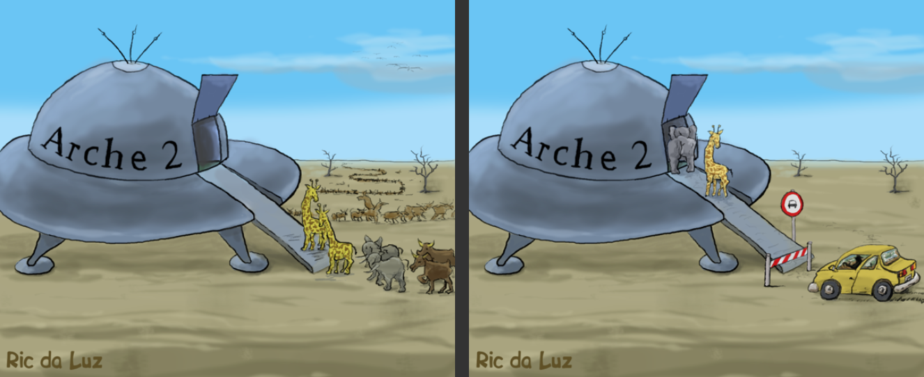 Arche 2